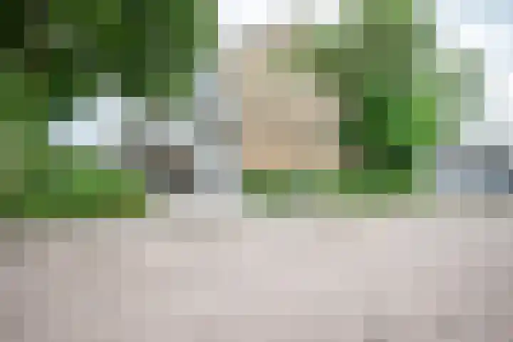 Acaciastraat 7 Rouveen thumbnail 22