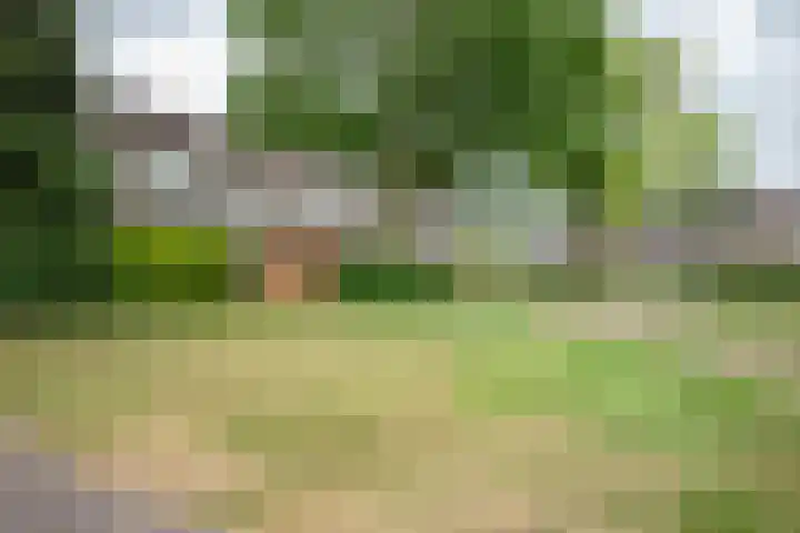 Acaciastraat 7 Rouveen thumbnail 23