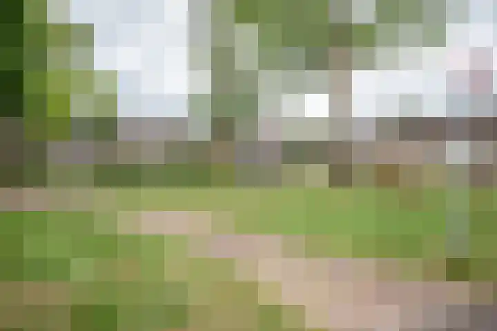 Acaciastraat 7 Rouveen thumbnail 24