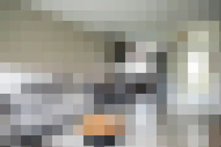 Acaciastraat 7 Rouveen thumbnail 4
