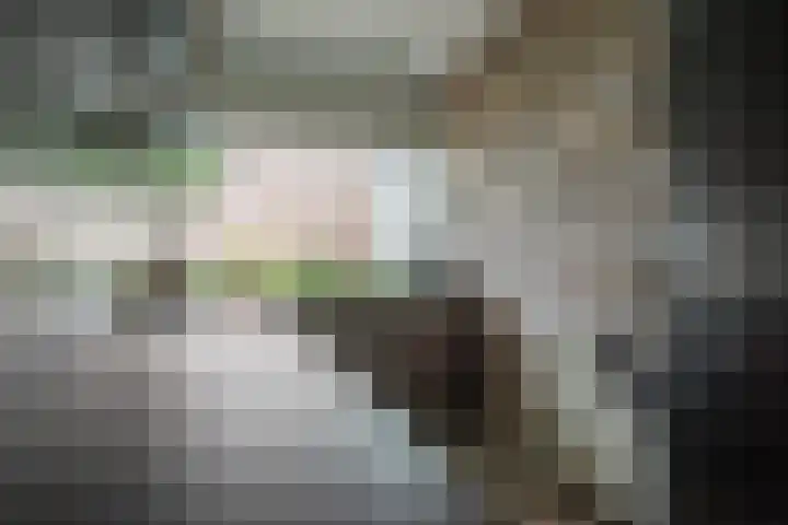 Acaciastraat 7 Rouveen thumbnail 7