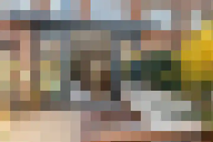 Acaciastraat 77 Haarlem thumbnail 22