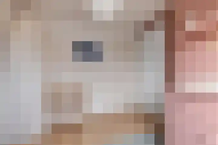 Acaciastraat 77 Haarlem thumbnail 33