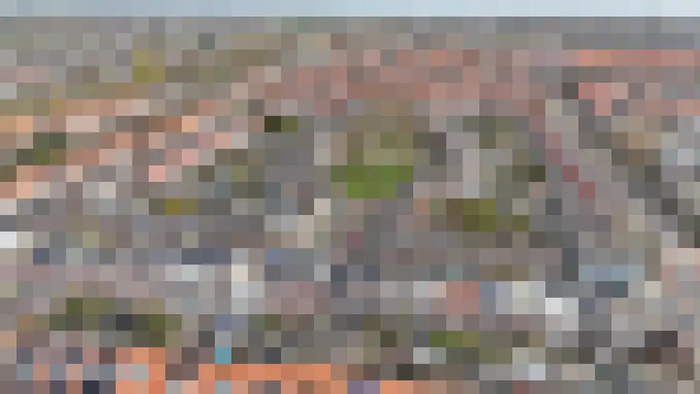 Acaciastraat 77 Haarlem thumbnail 51