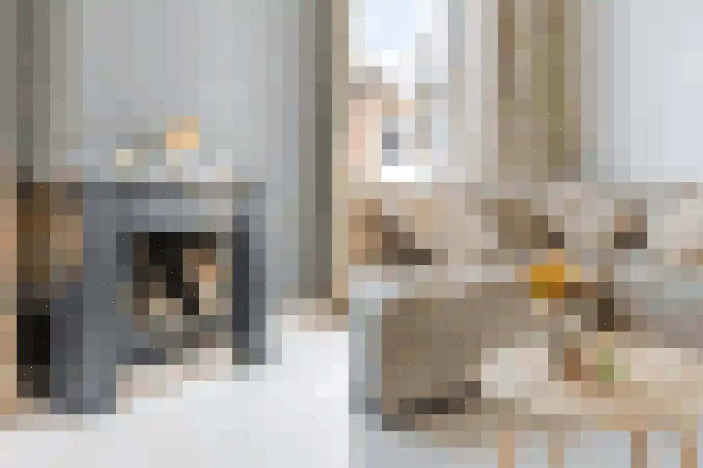 Acaciastraat 78 Den Haag thumbnail 16