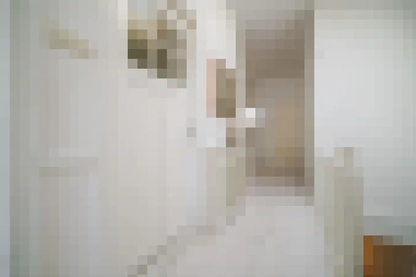 Acaciastraat 78 Den Haag thumbnail 39