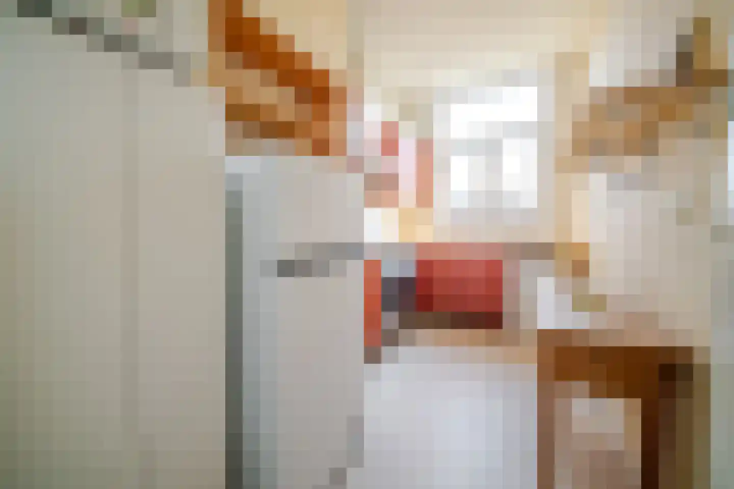 Acaciastraat 78 Den Haag thumbnail 41