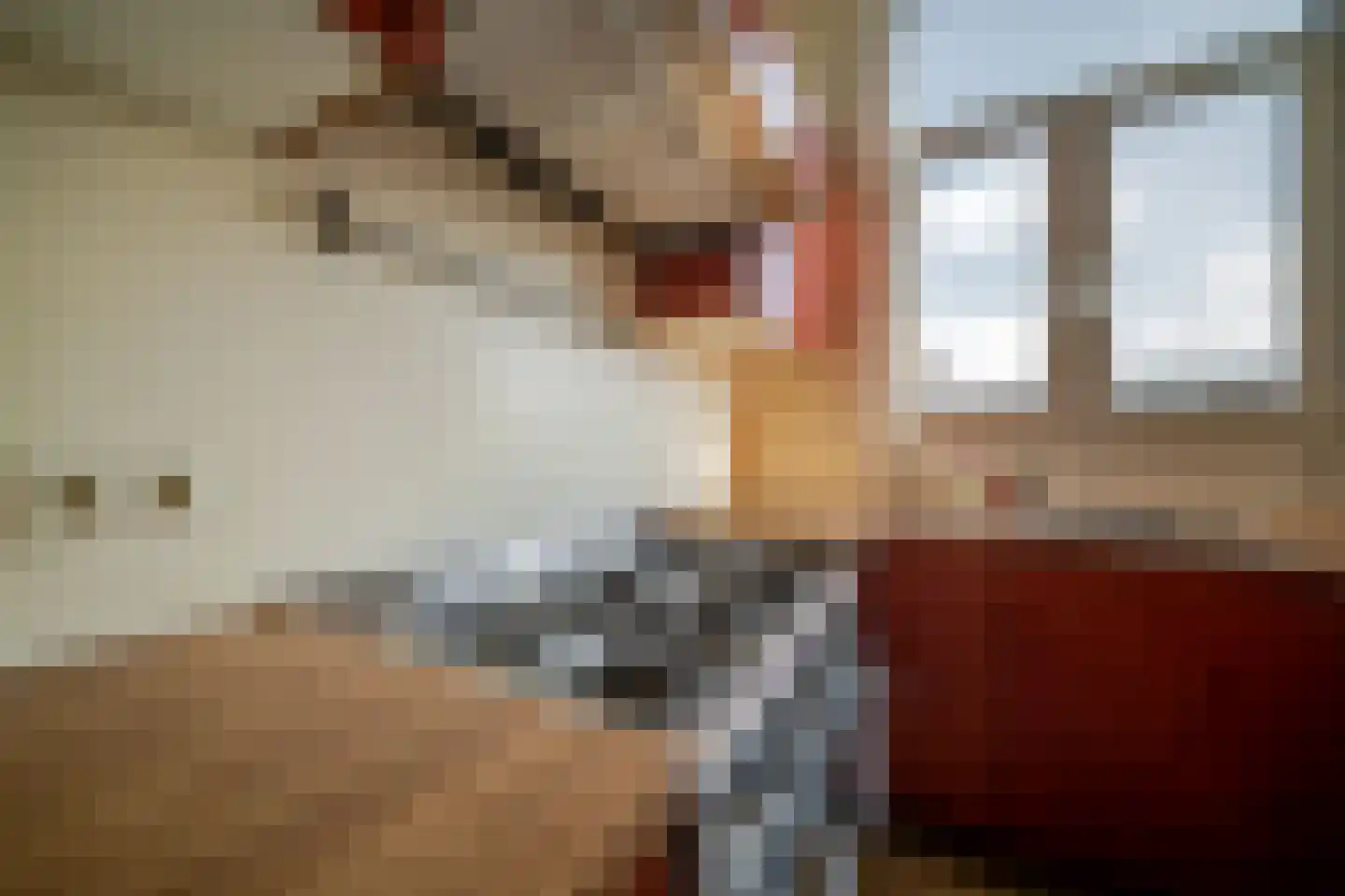 Acaciastraat 78 Den Haag thumbnail 45