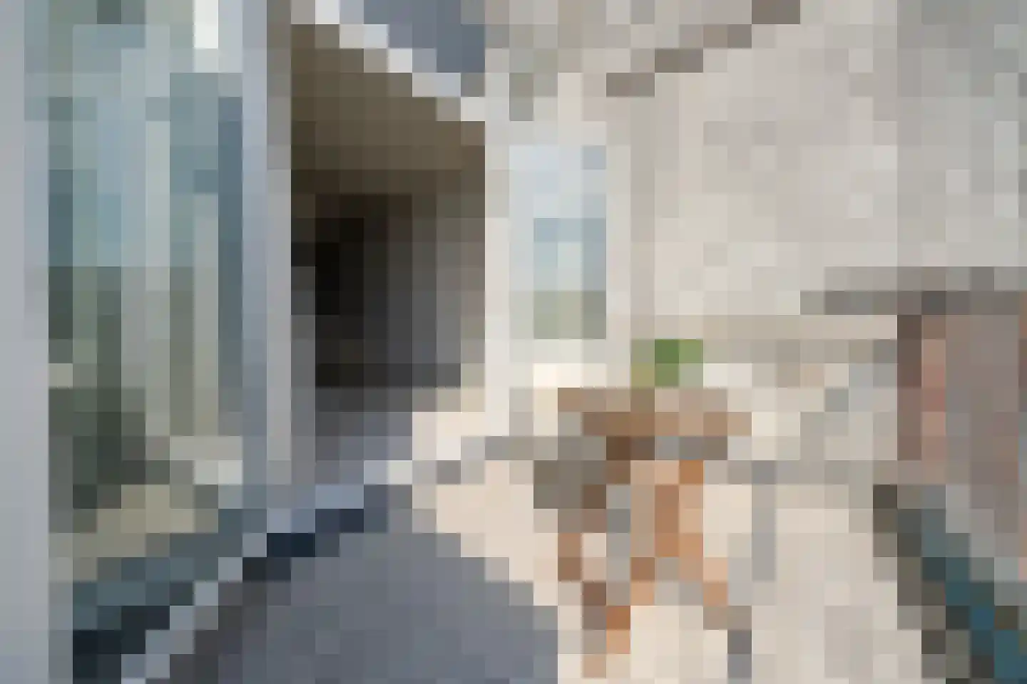Acaciastraat 78 Den Haag thumbnail 5