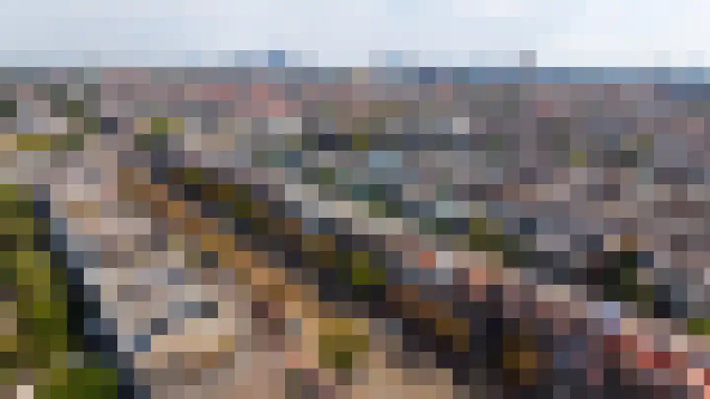 Acaciastraat 78 Den Haag thumbnail 51