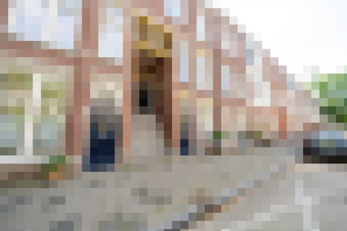 Acaciastraat 78 Den Haag thumbnail 6