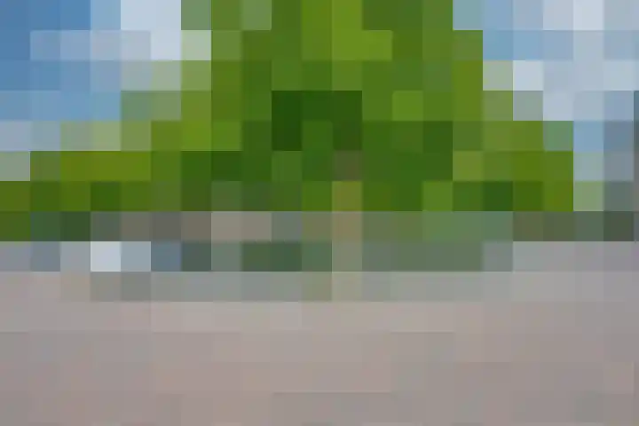 Acaciastraat 80 Breda thumbnail 16