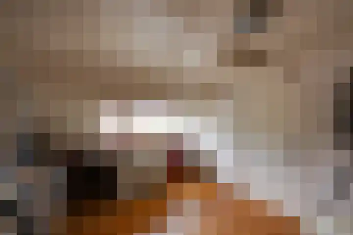 Acaciastraat 80 Breda thumbnail 27