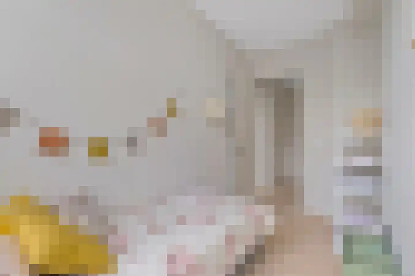 Acaciastraat 86 Den Haag thumbnail 22