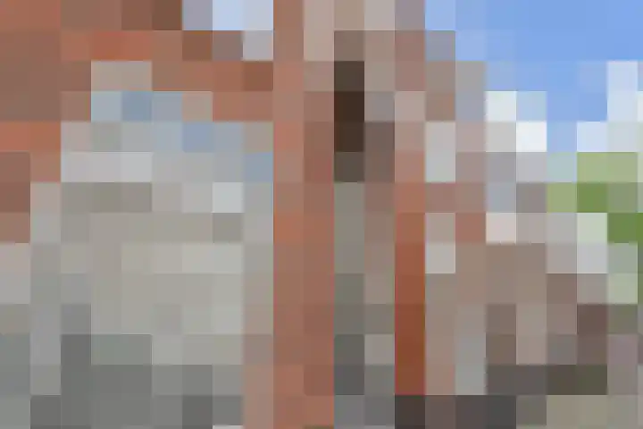 Acaciastraat 88 Den Haag thumbnail 4