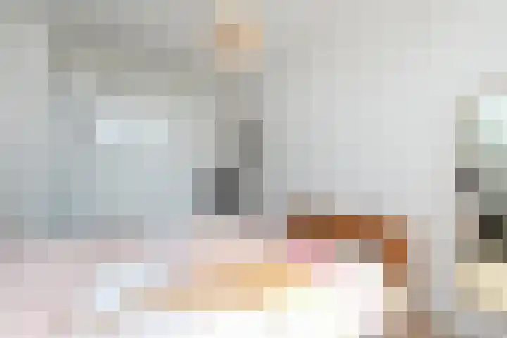 Acaciastraat 88 Den Haag thumbnail 41