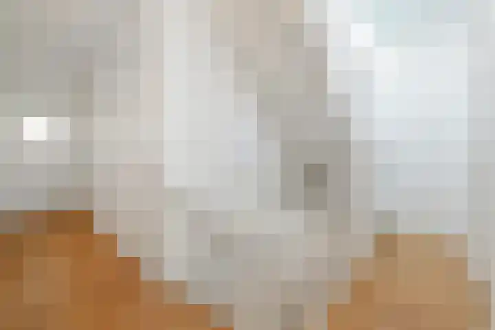 Acaciastraat 88 Den Haag thumbnail 52