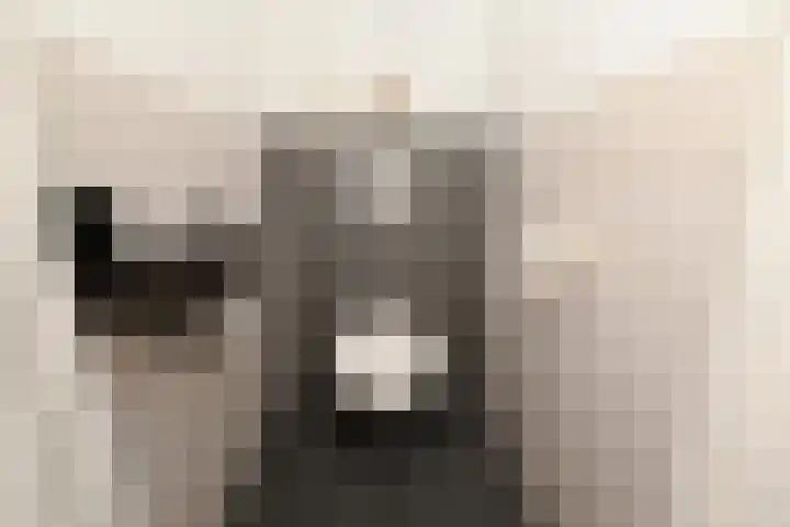 Acaciastraat 88 Den Haag thumbnail 53
