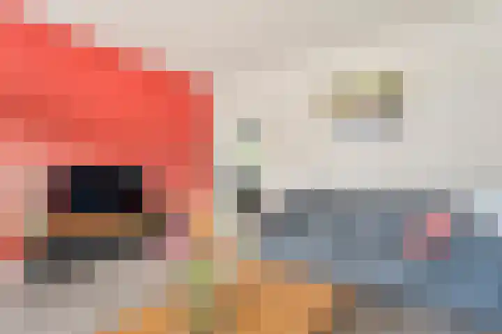 Acaciastraat 9 Gramsbergen thumbnail 12