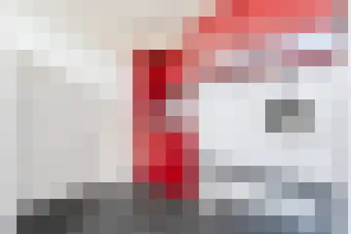 Acaciastraat 9 Gramsbergen thumbnail 15