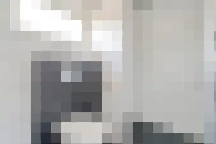 Acaciastraat 9 Gramsbergen thumbnail 26