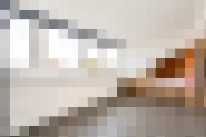 Acaciastraat 9 Gramsbergen thumbnail 30