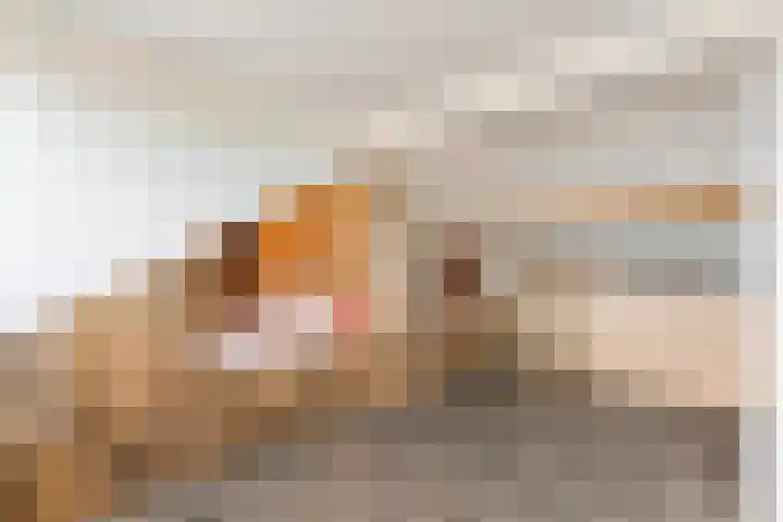 Acaciastraat 9 Gramsbergen thumbnail 31