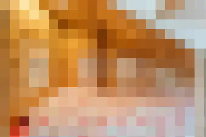 Acaciastraat 9 Gramsbergen thumbnail 33