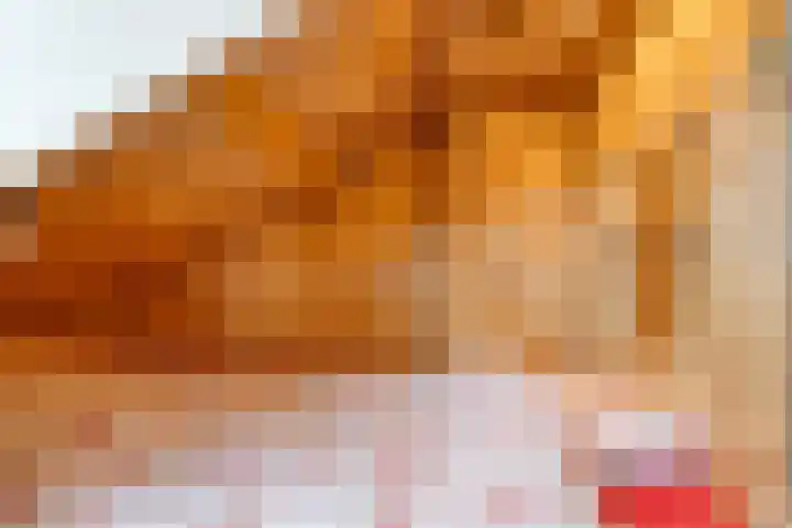Acaciastraat 9 Gramsbergen thumbnail 34