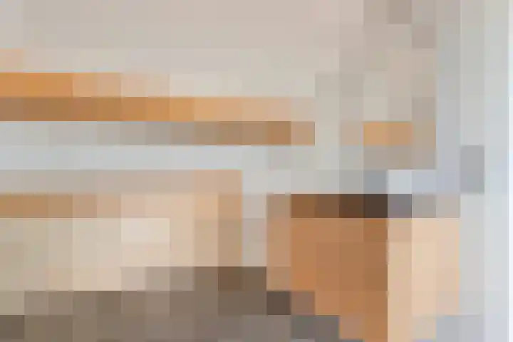Acaciastraat 9 Gramsbergen thumbnail 35