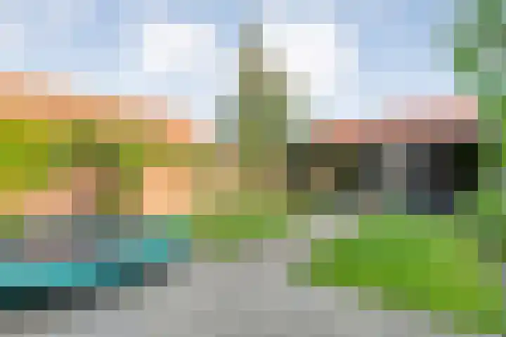 Acaciastraat 9 Gramsbergen thumbnail 38