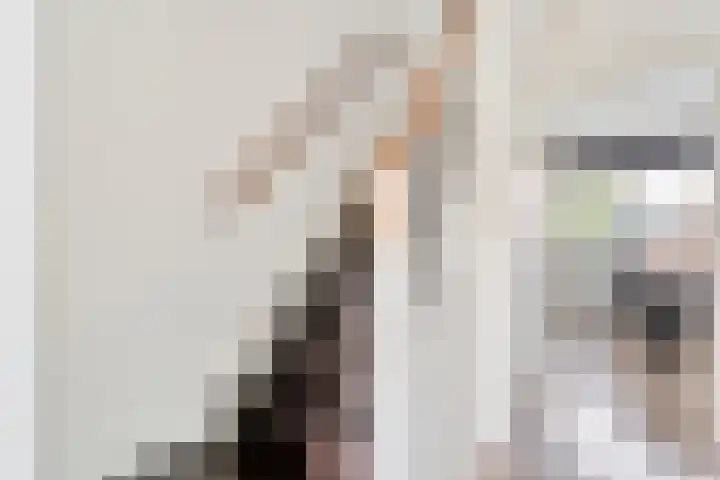 Acaciastraat 9 Gramsbergen thumbnail 4