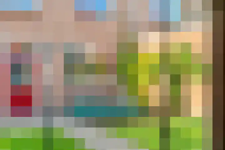 Acaciastraat 9 Gramsbergen thumbnail 40