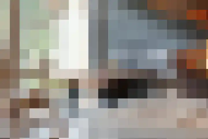 Acaciastraat 9 Gramsbergen thumbnail 42