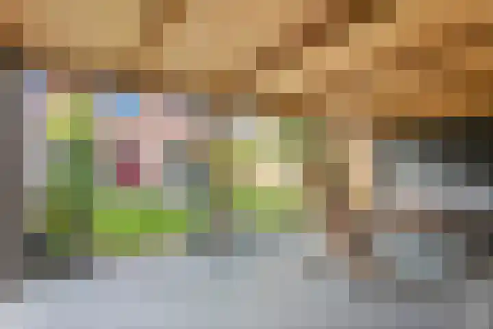 Acaciastraat 9 Gramsbergen thumbnail 44