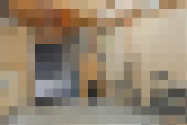 Acaciastraat 9 Gramsbergen thumbnail 48