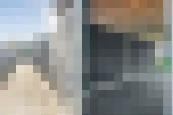 Acaciastraat 9 Gramsbergen thumbnail 49