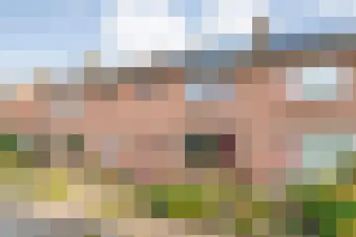 Acaciastraat 9 Gramsbergen thumbnail 51