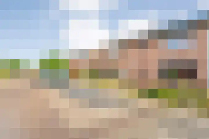 Acaciastraat 9 Gramsbergen thumbnail 52