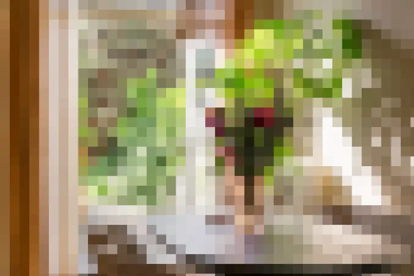 Acaciastraat 9 Utrecht thumbnail 10
