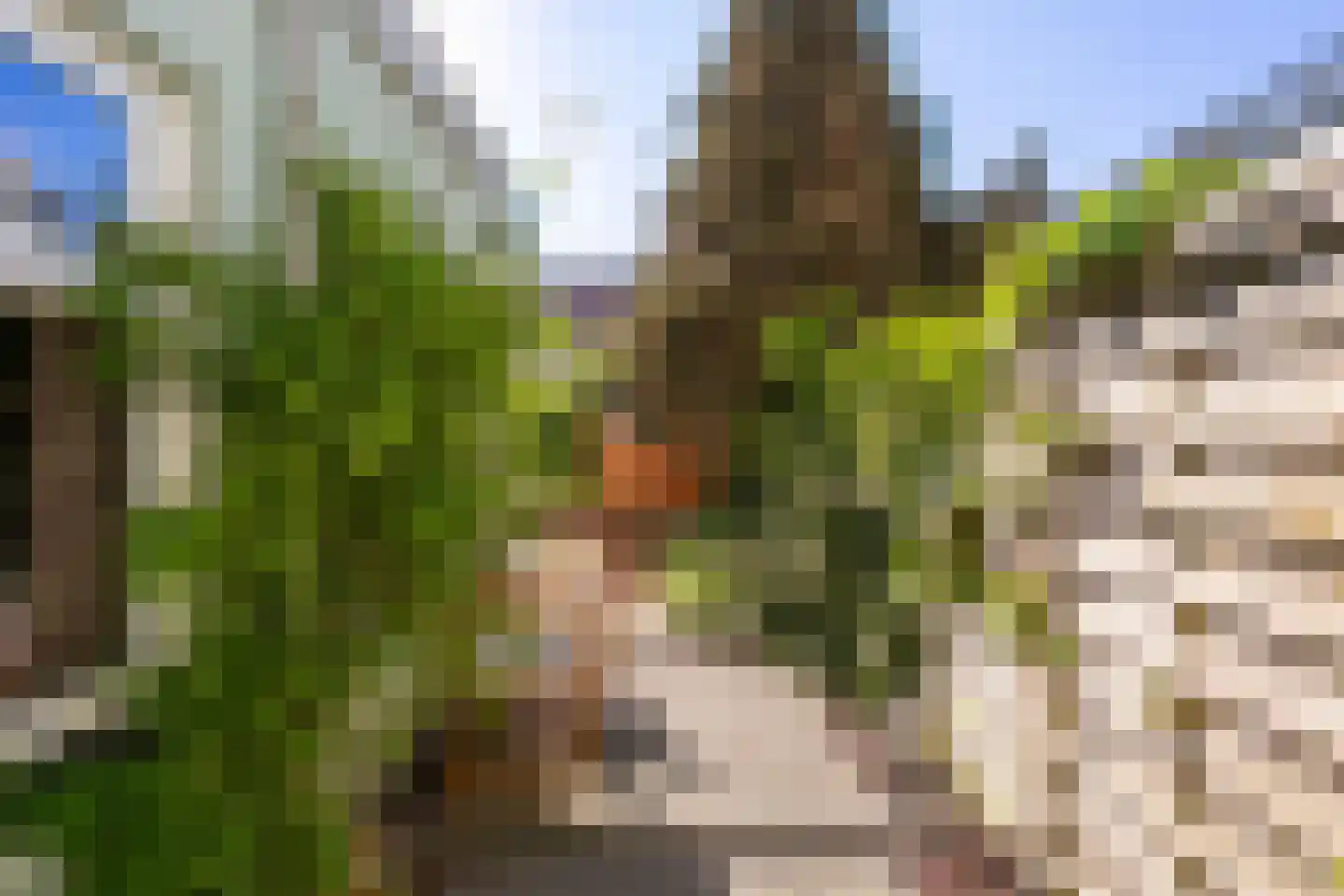Acaciastraat 9 Utrecht thumbnail 17