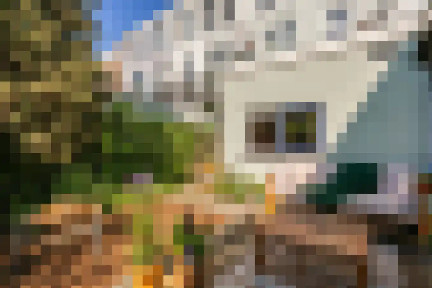 Acaciastraat 9 Utrecht thumbnail 21