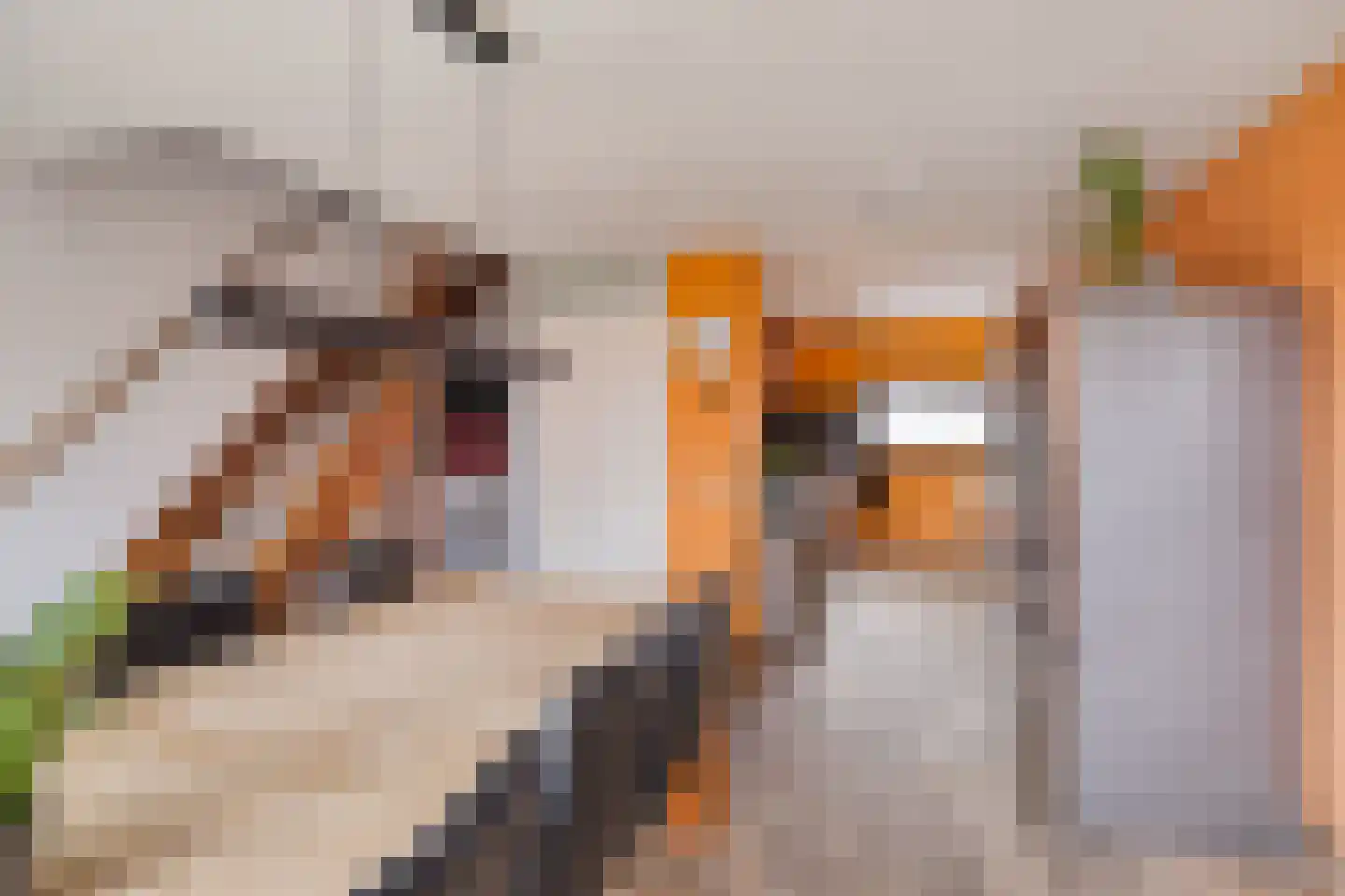 Acaciastraat 93 Breda thumbnail 11