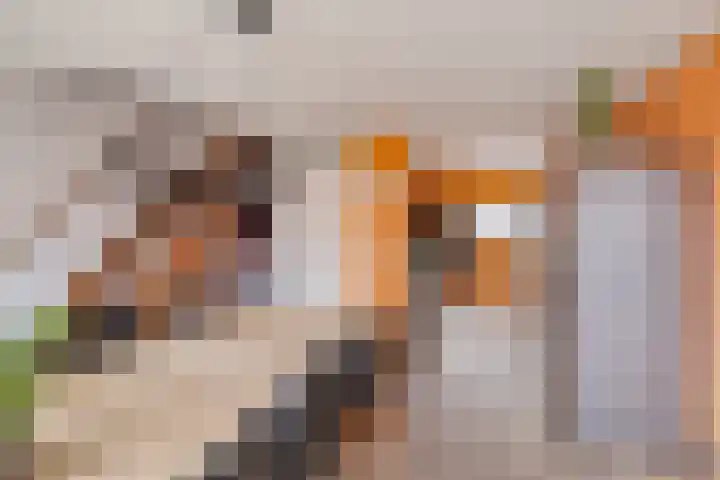 Acaciastraat 93 Breda thumbnail 11