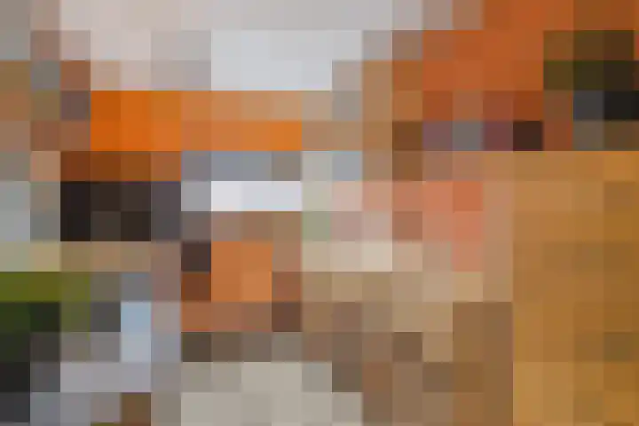 Acaciastraat 93 Breda thumbnail 14