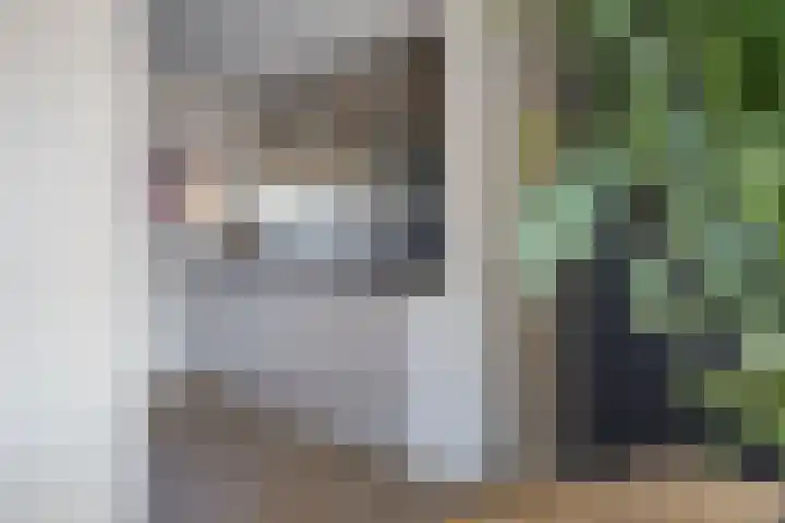 Acaciastraat 97 Breda thumbnail 21