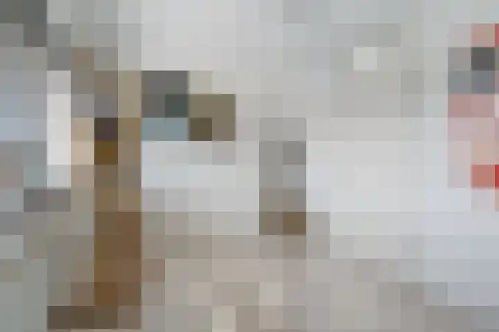Acaciastraat 97 Breda thumbnail 26