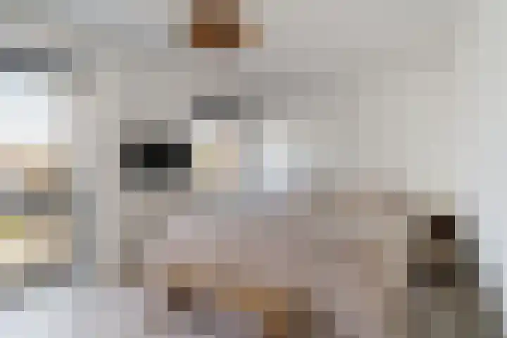 Acaciastraat 97 Breda thumbnail 27