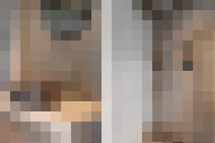 Acaciastraat 97 Breda thumbnail 30