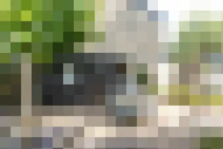 Acaciastraat 97 Breda thumbnail 35